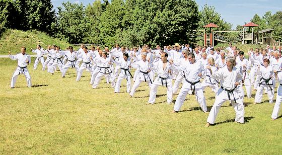 Im Herbst starten neue Taekwon-Do-Kurse beim SV-DJK Taufkirchen. 	Foto: Verein