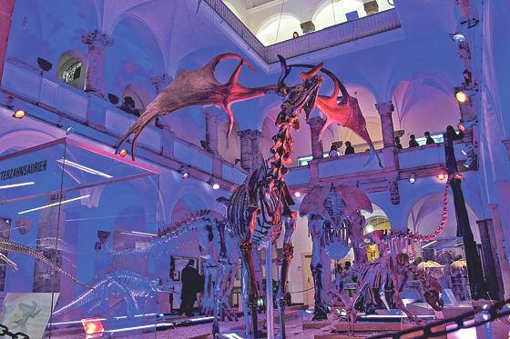 Das Paläonthologische Museum glänzt bei Nacht mit einer angemessenen Beleuchtung.	Foto: Vivi D’Angelo
