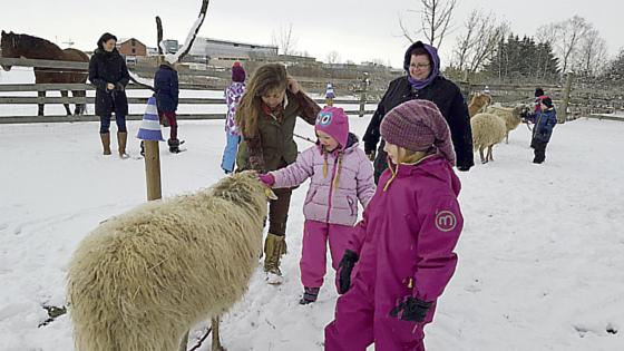 Für ihre Ideen belohnt: 20 Kinder erlebten einen spannenden Nachmittag auf Monis Farm.	Foto: VA