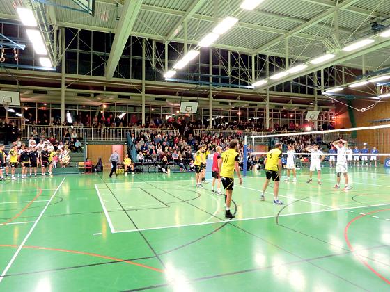 Daheim erfreuen sich die Volleyballer immer über eine »bärige« Unterstützung.	Foto: Volleyball Grafing