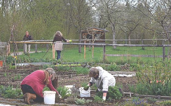 Die Frühjahrsaktion findet am 16. April im Umweltgarten statt.	Foto: Umweltgartenverein Neubiberg