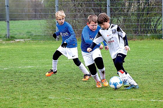 Die Spieler U9 des TSV Ottobrunn konnten einen großartigen Sieg verbuchen. 	Foto: VA
