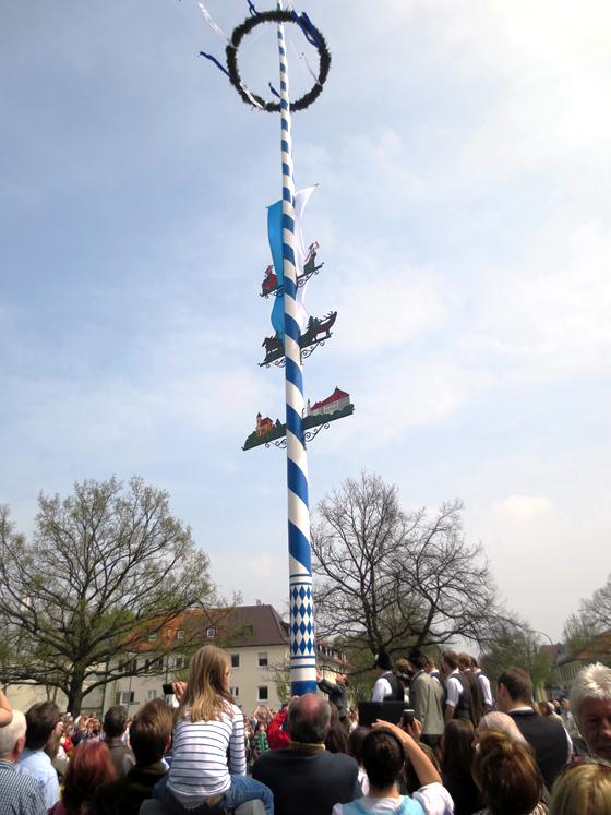 Der Harlachinger Burschenverein lädt am 1. Mai zum traditionellen Maibaumaufstellen ein. Foto: VA