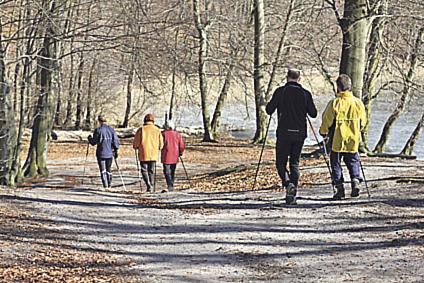 Es startet ein Nordic-Walking-Kurs für Einsteiger und Wiedereinsteiger.  	Foto: TSV Milbertshofen