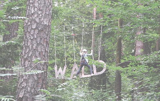 Vertrauen in die eigenen Fähigkeiten: Das konnten Kinder jüngst im Kletterwald trainieren.	Foto: AV