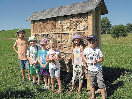 Die »Hachinger Grashüpfer« haben für die Streuobstwiese ein Insektenhotel gebaut. 	Foto: VA