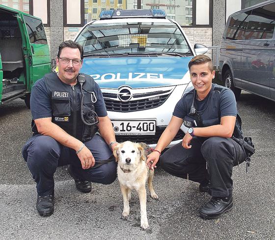 Die Streife der Bundespolizei taufte den Fund-Hund auf »Willi«.	Foto: Bundespolizei