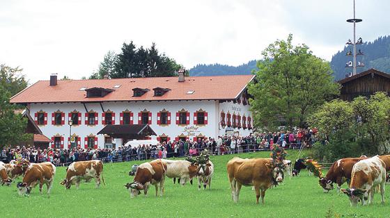 Der Almsommer ist Geschichte! Am vergangenen Samstag fand auch in Aschau im Chiemgau der Almabtrieb statt.	Foto: Tourist Information Aschau