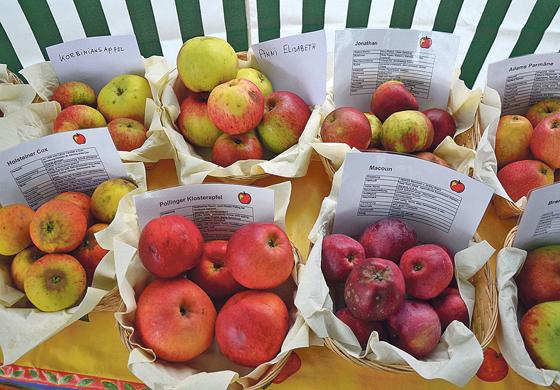Jede Menge Äpfel, spannende Geschichten und Aktionen zum Mitmachen und Ausprobieren erwarten die Besucher an diesem Sonntag.	Foto: VA