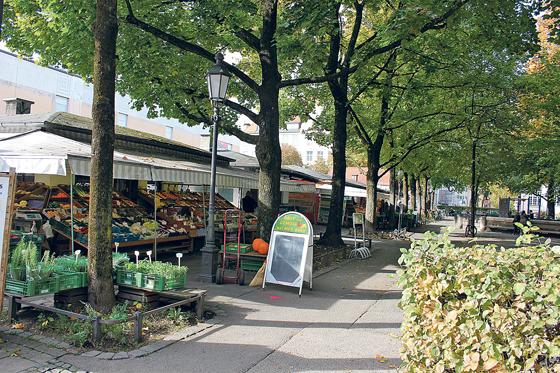 Obst, Gemüse und Zankapfel: Am Elisabethmarkt in Schwabing scheiden sich derzeit die Geister.	Foto: PH