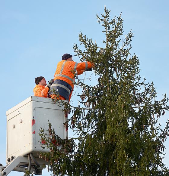 Bauhofmitarbeiter Yves Schlegel und Manfred Meergans beim Schmücken des Christbaumes auf dem Rathaus.	Foto: MO