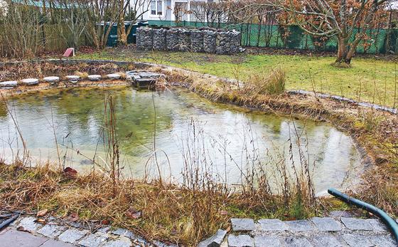 Große Gartenteichanlagen wie diese mit Wasser aus dem öffentlichen Netz am Zähler vorbei zu befüllen, ist Diebstahl. Bei diesem Teich gibt es Entwarnung: Das Wasser in diesem Biotop ist bezahlt. 	Foto: kw