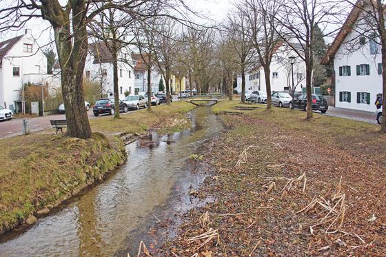 Der Hachinger Bach, hier in seinem Abschnitt am Pfanzeltplatz in Perlach, ist schon öfters über die kleinen Ufer  getreten 	Foto: RedRP