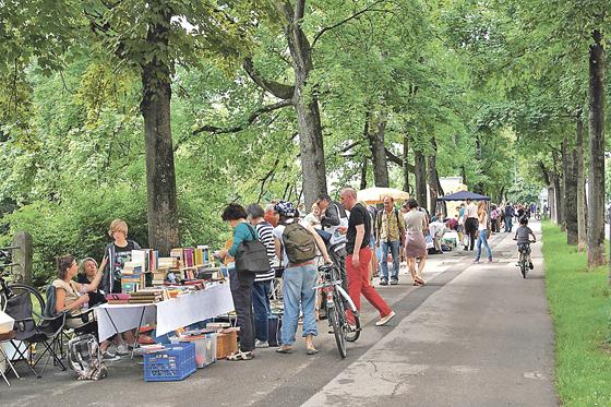 Der Bücherflohmarkt LISAR zieht jedes Mal zahlreiche Bücherfreunde an. Am Samstag findet der Flohmarkt schon zum 13. Mal statt.	Foto: VA