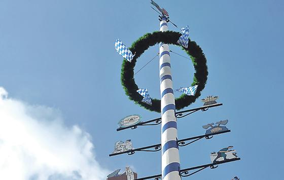 Lange steht der Maibaum nicht mehr auf dem Hans-Mielich-Platz: Am Samstag wird sein Abschied gefeiert.	Foto: VA