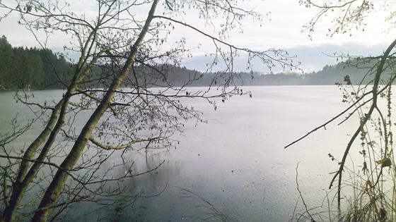 Der 21 Hektar große Steinsee liegt auf dem südwestlichen Gebiet der Gemeinde Moosach.	Foto: CC BY-SA 3.0