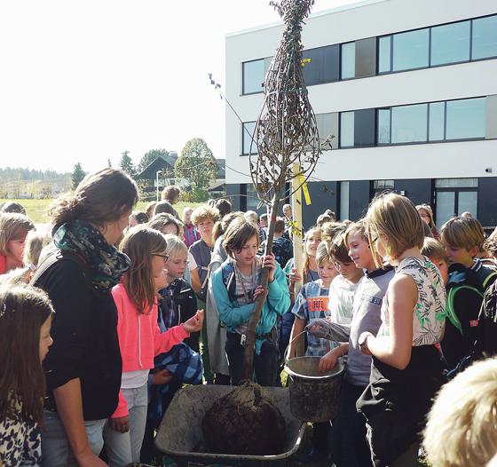 Am Gymnasium in Höhenkirchen-Siegertsbrunn fand jetzt kürzlich eine gemeinsame Baumpflanzaktion statt.	Foto: VA