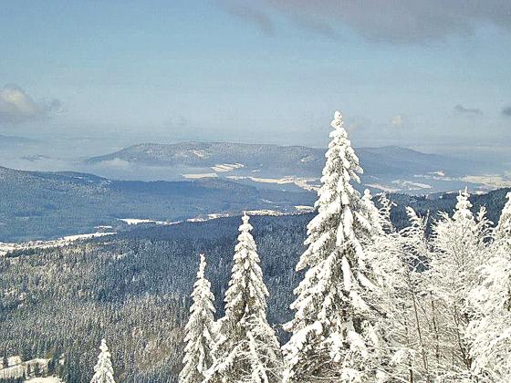 Im Januar bietet die Volkshochschule zwei Schneeschuhwanderungen in der Winterlandschaft an.	Foto: vhs