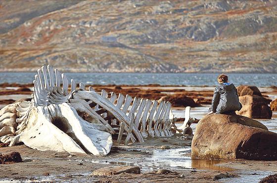 Einen Blick in den Norden Russlands wagt das oskarnominierte Filmdrama »Leviathan«.	Foto: VA