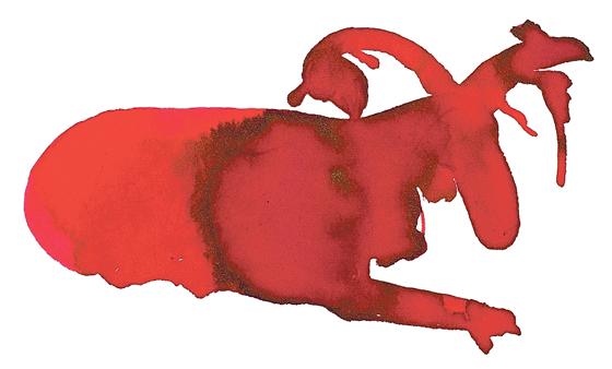 Roter Hirsch, gemalt von Joseph Beuys.	Foto: VA