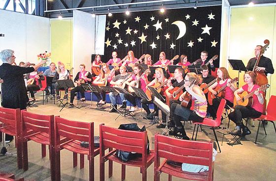 Das Zupforchester »Vivaldi-Tiger« aus Karlsfeld zu Gast bei der Musikreihe »Eine kleine gute-Nacht-Musik«. 	Foto: privat