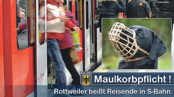 Rottweiler dürfen aufgrund ihrer Größe in der S-Bahn nur mit Maulkorb mitfahren.	Foto: Bundespolizei
