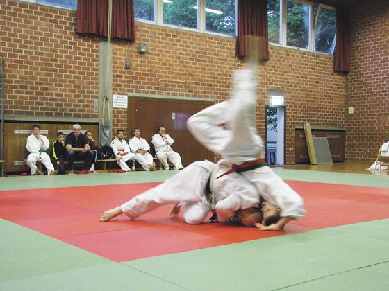 Die Judoka des ESV München Ost zeigten bei den Kämpfen ihr ganzes Können.	Foto: privat