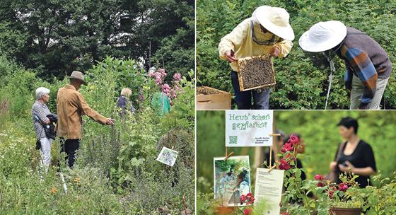 Am 24. Juni lädt das ÖBZ anlässlich des Tags der offenen Gartentür auch dieses Jahr zur Besichtigung des ÖBZ-Geländes und seinen Gärten ein. Fotos: ÖBZ