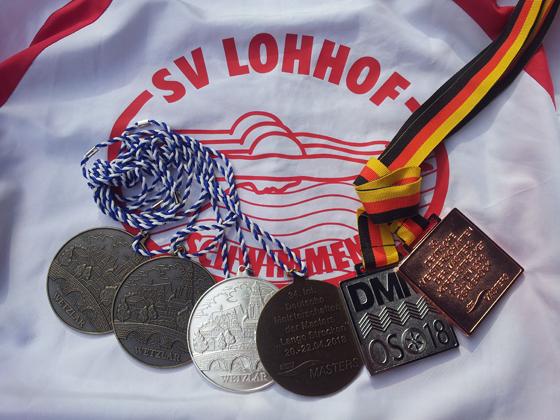 Die Medallien von Brigitte Weinzierl.	Foto: VA