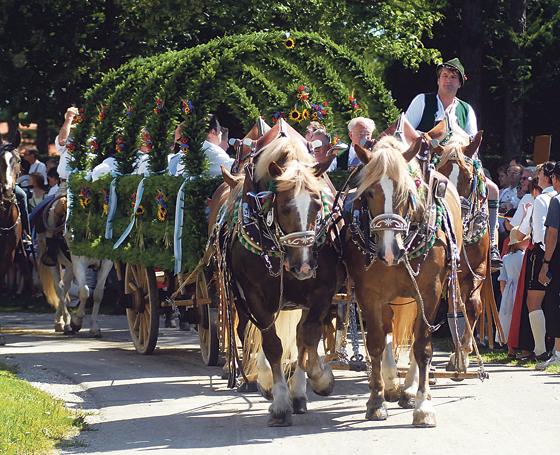 Der absolute Höhepunkt des Leonhardifestes ist die dreimalige Umfahrt der Leonhardikirche mit Kutschen und festlich geschmückten Pferden.	Foto: Schunk/Brauerei Aying