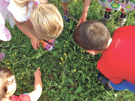 Gemeinsam mit anderen Kindern alles Wissenswertes über die Pflanzenwelt im Sommer erfahren	Foto: VA