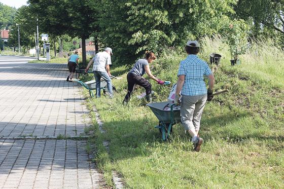 Fleißige Helfer haben über 40 Buschrosenstöcke entlang des Aßlinger Bahnhofs gepflanzt.	 Foto: Trudi Christof