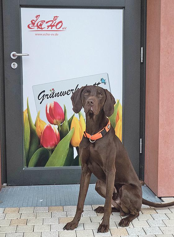 Workshop zur Veranstaltungsreihe »Mensch und Hund in der Messestadt  es ist nicht alles Hund, was bellt!«.	Foto: VA