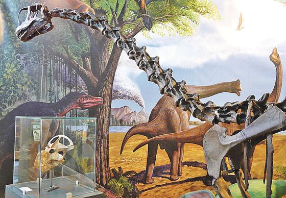 Der Europasaurus war ein echter Brocken, auch wenn er größere Verwandte hatte.	Foto: VA