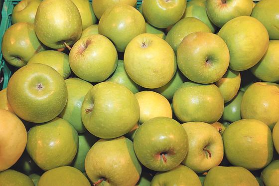 Aus den frisch geernteten Äpfel selbst Apfelsaft pressen, ist Ende August in Ebersberg wieder möglich. 	Foto: hw