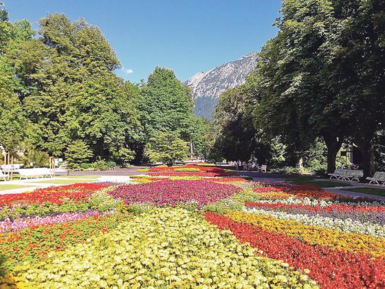 Der Königliche Kurgarten in Bad Reichenhall verzaubert mit seinen Blumen die Besucher. 	Foto: Tourismusbüro Bad Reichenhall