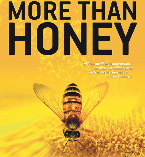 Am 17. September findet im Literaturhaus die Filmvorführung von Markus Imhoofs Dokumentarfilm »More than honey« (oben das Plakat) statt.         Foto: ©Wild Bunch Germany