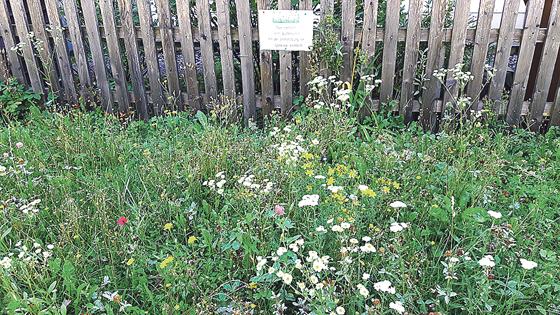 Bunte Farbenpracht in vielen Gärten: In Kirchheim blüht es schon heute, mit der Landesgartenschau 2024 dürfte es in der Gemeinde weiter blühen. 	Foto: Gemeinde Kirchheim