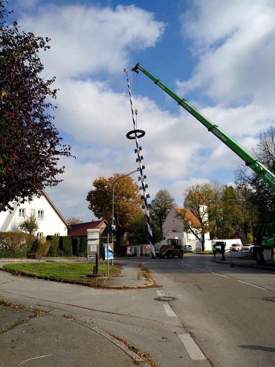 Mit einem Kran wurde der Maibaum auf die gegenüberliegende Straßenseite gehoben und dort weiter demontiert. Foto: Andrea Hinze