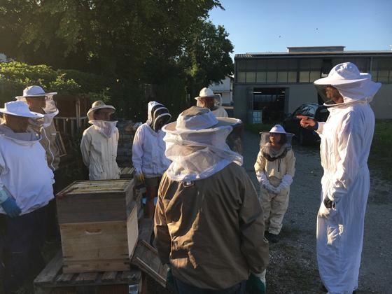 Der Umgang mit Bienen erfordert Wissen und Erfahrung. Letztere kann man nur in der Praxis erwerben. Foto: Bienenfreunde Erding e.V.
