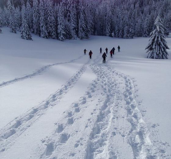 Einsam seine Spuren ziehen ist das höchste der Gefühle beim Schneeschuhwandern. Foto: TSV Feldkirchen