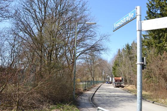 Die Bürgerinitiative Fauststraße 90 vermutet einen illegalen Kahlschlag im Landschaftsschutzgebiet. Foto: ar