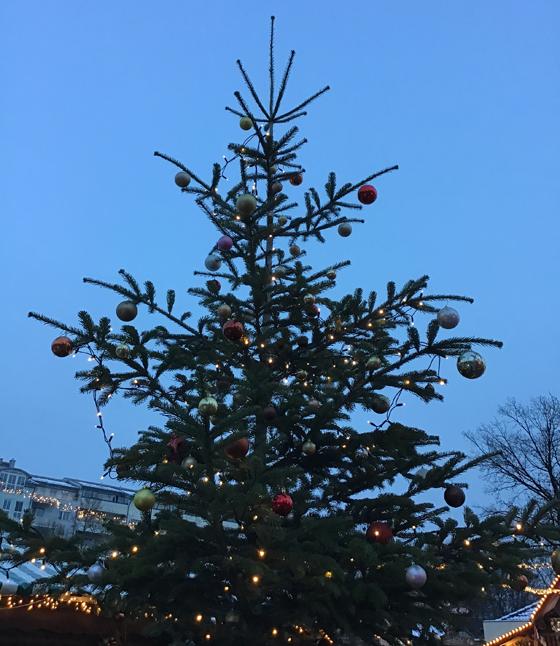 Noch stehen die Christbäume, doch wohin damit, wenn Weihnachten vorbei ist? Foto: Daniel Mielcarek