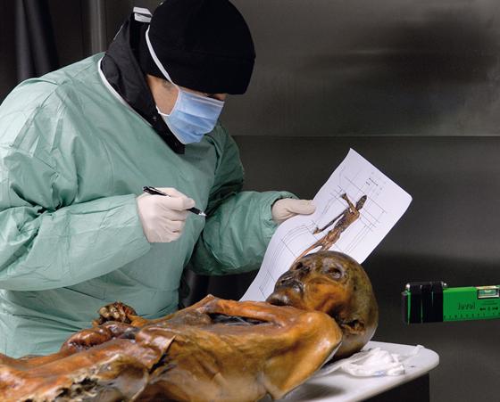 Die Wissenschaftler konnten der gut erhaltenen 5.300 Jahre alten Mumie von Ötzi noch einige spannende Geheimnisse entlocken. Foto: VA
