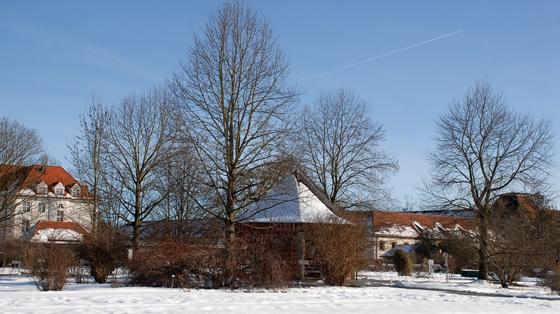 Insgesamt vier Tulpenbäume stehen um den Pavillon im Zentrum des Systemgartens. Foto: Dr. Ehrentraud Bayer, Botanischer Garten München-Nymphenburg