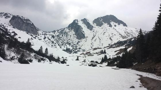 Am 24. Februar führt Andrei Roiu eine Schneeschuhtour rund um die Rotwand. Foto: Stefan Dohl