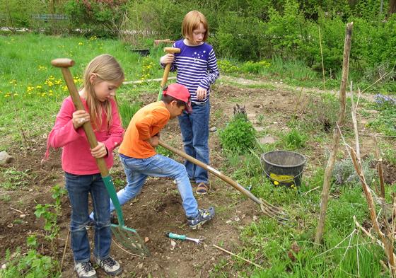 Am ÖBZ graben, pflanzen und ebnen die Kinder Beete für Kartoffeln, Zucchini und Kürbisse. Foto: Jasmin Mena Sauterel