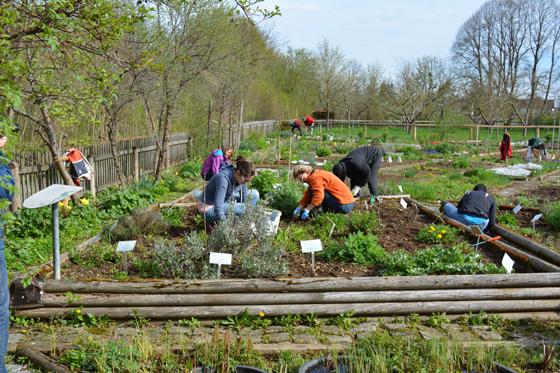 Für die Frühjahrsaktion im Umweltgarten am Samstag, 30. März, werden noch fleißige Helfer gesucht. Foto: VA