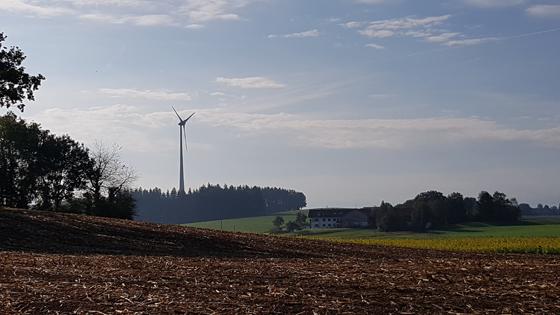 Der Anteil der Windkraft bei der Netto-Stromproduktion lag heuer schon bei 48 Prozent. Foto: Stefan Dohl