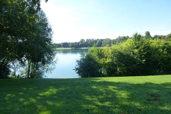 Am Heimstettener See und einigen anderen Seen des Landkreises München laufen in den kommenden Wochen Baumpflegearbeiten. Foto: Bayreuth2009, CC BY 3.0